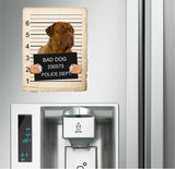 Dogues De Bordeaux Mugshot Bad Dog Fridge refrigerator Car Magnet