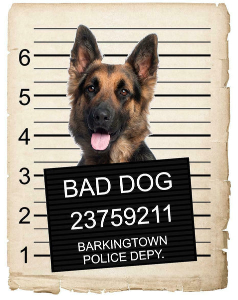 German Shepard Mugshot Bad Dog Fridge refrigerator Car Magnet