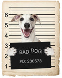 Whippet Mugshot Bad Dog Fridge refrigerator Car Magnet