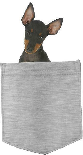 Manchester Terrier Dog in pocket Fridge Car Magnet Bumper Sticker App size 4"x7"