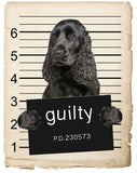 English Cocker Spaniel Mugshot Bad Dog Fridge refrigerator Car Magnet