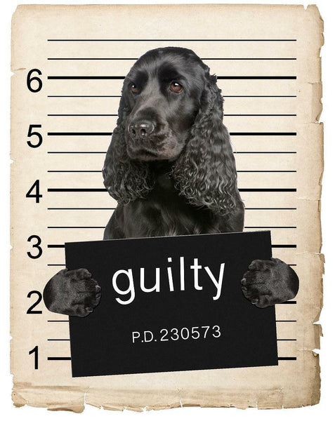 English Cocker Spaniel Mugshot Bad Dog Fridge refrigerator Car Magnet