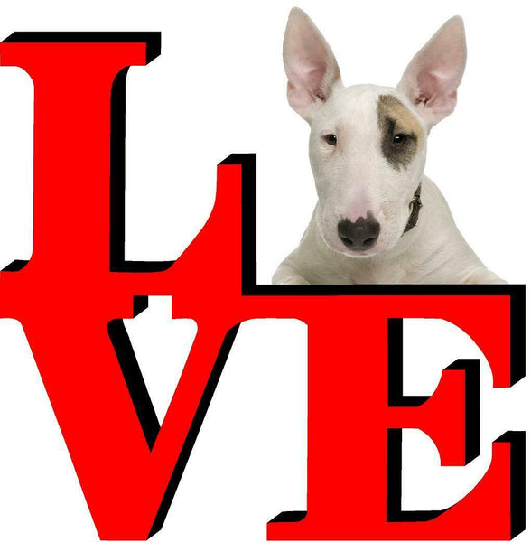 Bull Terrier Dog Love Park Cute Dog Fridge Refrigerator Car Magnet