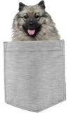 Keeshonden Dog in pocket Fridge Car Magnet Bumper Sticker App size 4"x7"