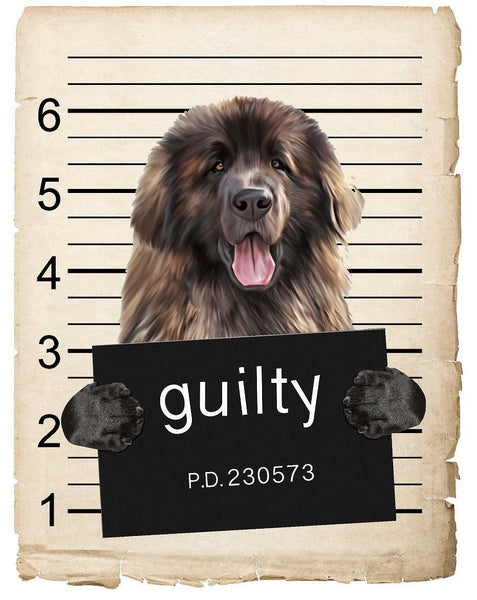 Leonberger Mugshot Bad Dog Fridge refrigerator Car Magnet