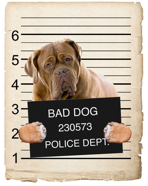 Bull Mastiff Mugshot Bad Dog Fridge refrigerator Car Magnet