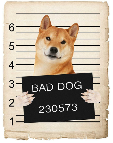 Shiba Inu Mugshot Bad Dog Fridge refrigerator Car Magnet