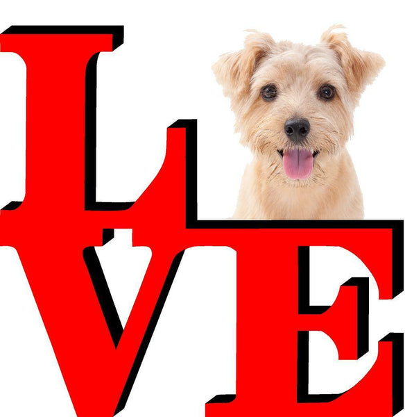 Norfolk Terrier Love Park Cute Dog Fridge Refrigerator Car Magnet