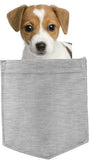 Russell Terrier Dog in pocket Fridge Car Magnet Bumper Sticker App size 4"x7"
