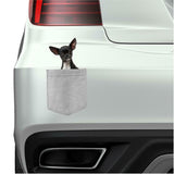 Chihuahua Dog in pocket Fridge Car Magnet Bumper Sticker App size 4"x7"
