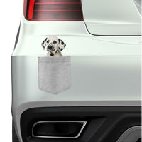 Dalmatian Dog in pocket Fridge Car Magnet Bumper Sticker App size 4"x7"
