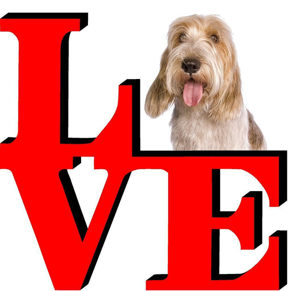 Petit Bassets Griffons Vendeen Love Park Cute Dog Fridge Refrigerator Car Magnet