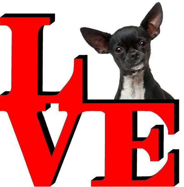 Chihuahua Dog Love Park Dog Fridge Refrigerator Car Magnet