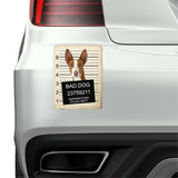 Ibizan Hound Mugshot Bad Dog Fridge refrigerator Car Magnet