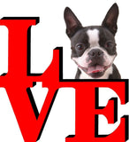 Boston Terrier Dog Love Park Cute Dog Fridge Refrigerator Car Magnet