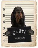 Gorden Setter Mugshot Bad Dog Fridge refrigerator Car Magnet