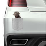 Neopolitan Mastiff Dog in pocket Fridge Car Magnet Bumper Sticker App size 4"x7"