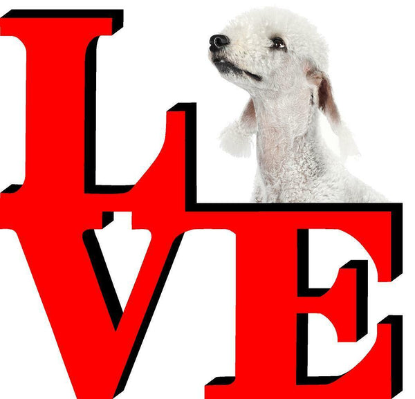Bedlington Terrier Love Park Cute Dog Fridge Refrigerator Car Magnet
