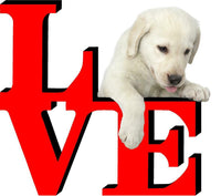 Yellow Lab Dog Love Park Dog Fridge Refrigerator Car Magnet