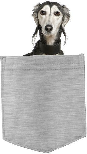 Saluki Dog in pocket Fridge Car Magnet Bumper Sticker App size 4"x7"