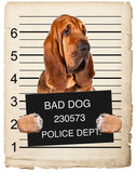 Bloodhound Mugshot Bad Dog Fridge refrigerator Car Magnet