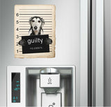 Saluki Mugshot Bad Dog Fridge refrigerator Car Magnet