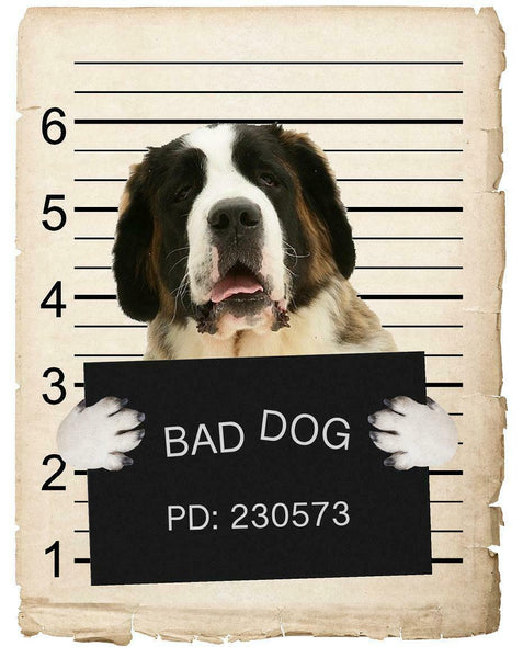 Saint Bernard Mugshot Bad Dog Fridge refrigerator Car Magnet