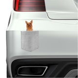 Silky Terrier Dog in pocket Fridge Car Magnet Bumper Sticker App size 4"x7"