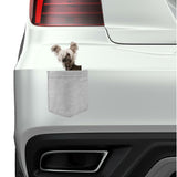 Chinese Crested Dog in pocket Fridge Car Magnet Bumper Sticker App size 4"x7"