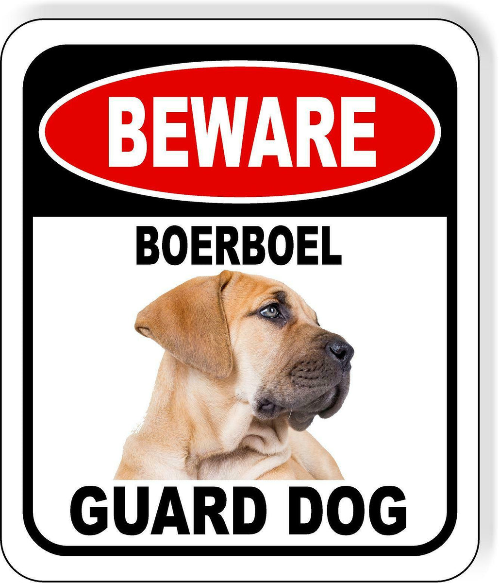 Boerboel store guard dog