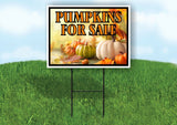 PUMPKINS FOR SALE PHOTO Yard Sign w Stand LAWN SIGN