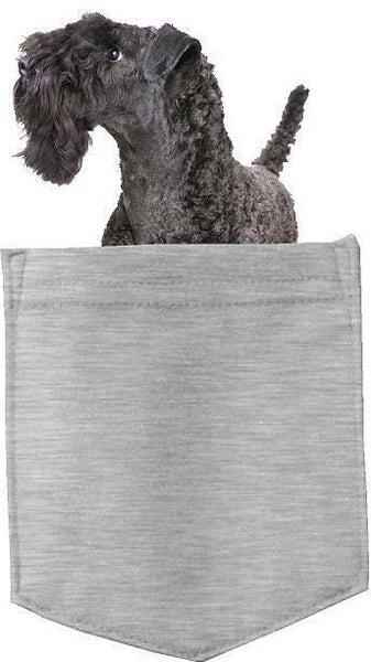 Kerry Blue Terrier Dog in pocket Fridge Car Magnet Bumper Sticker App size 4"x7"