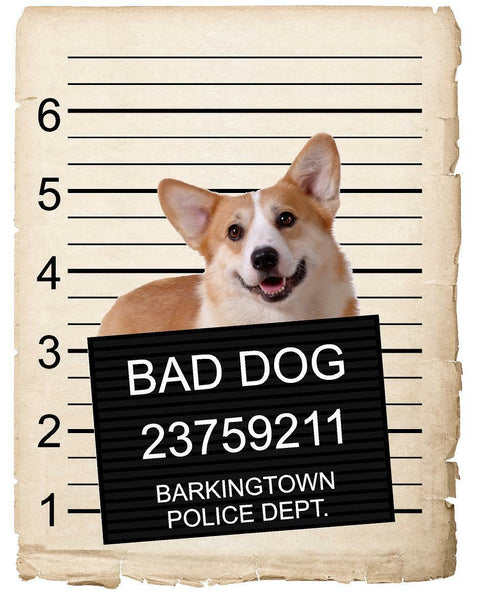 Pembroke Welch Corgi Mugshot Bad Dog Fridge refrigerator Car Magnet