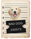 Golden Retriever Puppy Mugshot Bad Dog Fridge refrigerator Car Magnet