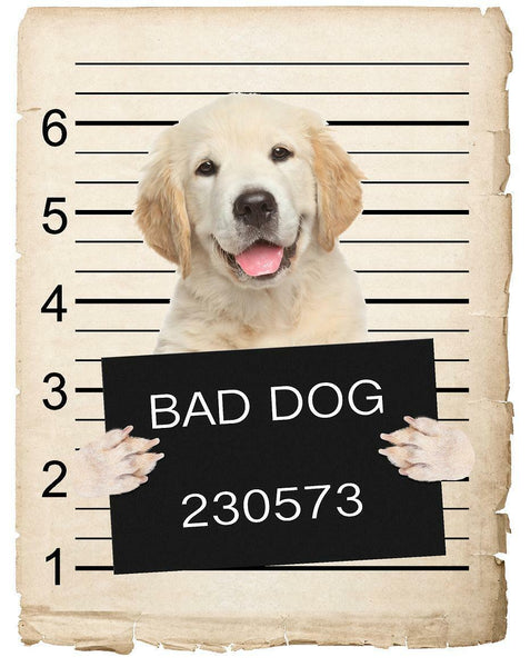 Golden Retriever Puppy Mugshot Bad Dog Fridge refrigerator Car Magnet