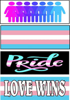 Set of 4 prank magnetic bumper stickers magnets transgender FLAG PRIDE LOVE WINS