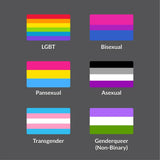 Set of 6 magnetic bumper stickers magnet LGBTQA pride flags Bisexual Pansexual
