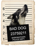 Norwegian Elk Hound Mugshot Bad Dog Fridge refrigerator Car Magnet