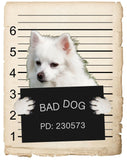 American Eskimo Mugshot Bad Dog Fridge refrigerator Car Magnet Bumper Sticker