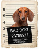 Dachshund Mugshot Bad Dog Fridge refrigerator Car Magnet
