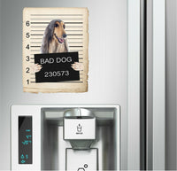 Afghan Hound Mugshot Bad Dog Fridge refrigerator Car Magnet Bumper Sticker