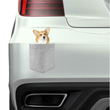 Corgi Dog in pocket Fridge Car Magnet Bumper Sticker App size 4"x7"