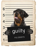 Rottweiler Mugshot Bad Dog Fridge refrigerator Car Magnet