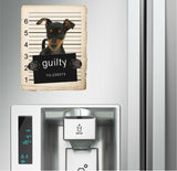 Miniature Pincher Mugshot Bad Dog Fridge refrigerator Car Magnet