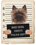 Cairn Terrier Mugshot Bad Dog Fridge refrigerator Car Magnet