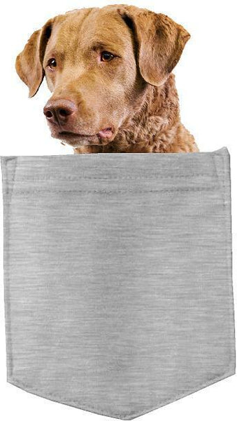 Chesapeake Bay Retriever in pocket Fridge Car Magnet Bumper Sticker