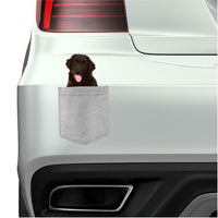 Newfoundland Dog in pocket Fridge Car Magnet Bumper Sticker App size 4"x7"
