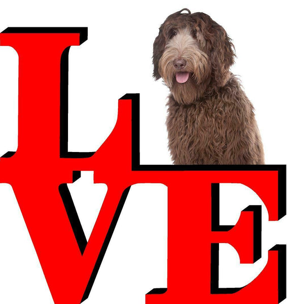 Labradoodle Dog Love Park Dog Fridge Refrigerator Car Magnet