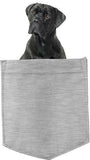 Cane Corso Dog in pocket Fridge Car Magnet Bumper Sticker App size 4"x7"
