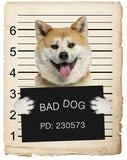 Akita Mugshot Bad Dog Fridge refrigerator Car Magnet Bumper Sticker